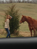 Horse Head Mask Image